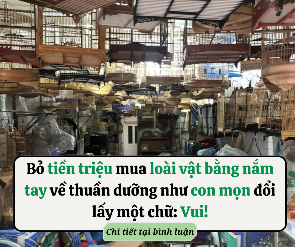 Ô tô gắn biển “tập lái” kiên quyết bám làn trái, không nhường đường: Nên thông cảm hay phạt theo quy định?