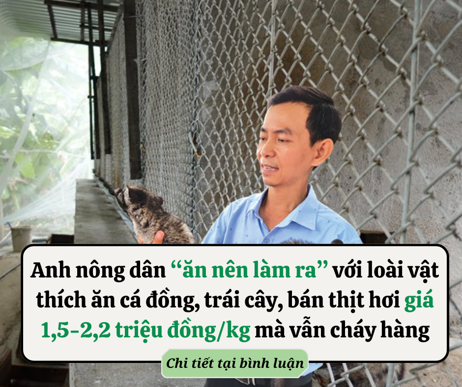 Chung cư chưa có sổ hồng, chỉ có hợp đồng mua bán có được vay vốn ngân hàng?