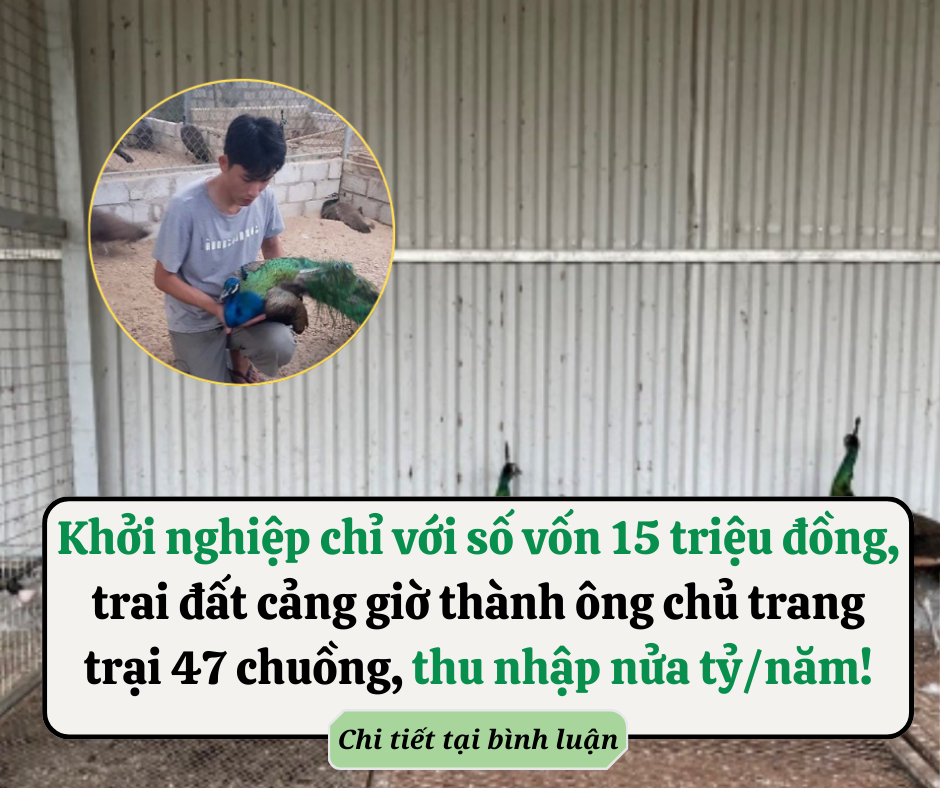 7 nghề không có hậu theo lời Phật dạy: Tiền nhiều đến mấy cũng nên tránh