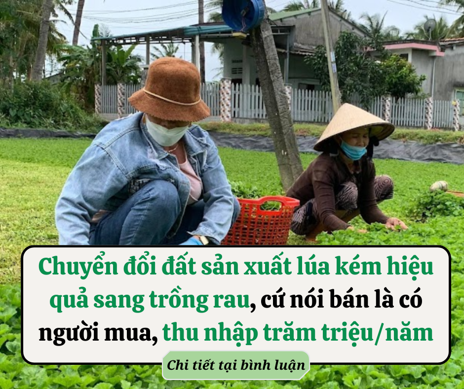 Y án tử hình người phụ nữ phóng hỏa đốt nhà trọ khiến thai phụ tử vong