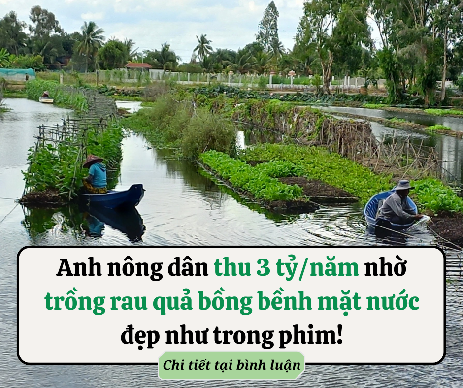 Tổ Tiên dặn dò: ‘Giường ngủ kê 2 vách, gia chủ không tai họa cũng bệnh tật chất chồng’, 2 vách đó là gì?