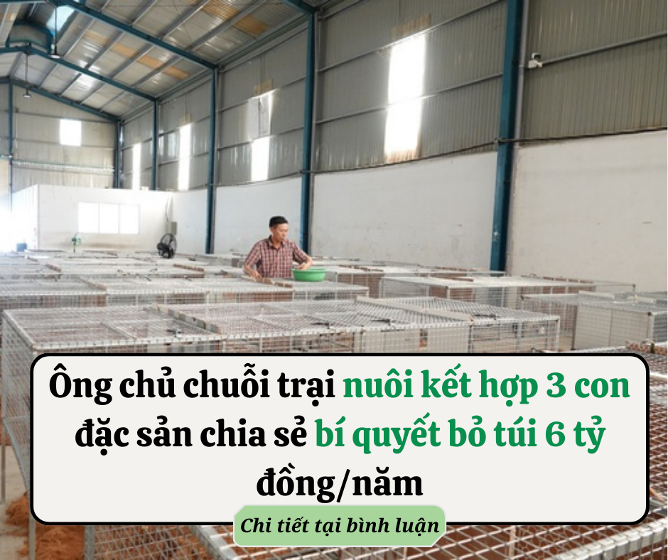 Cây lau nhà đen và bẩn đừng vứt đi: Ngâm vào nước này bụi bẩn sạch hết như mới, không tốn công sức