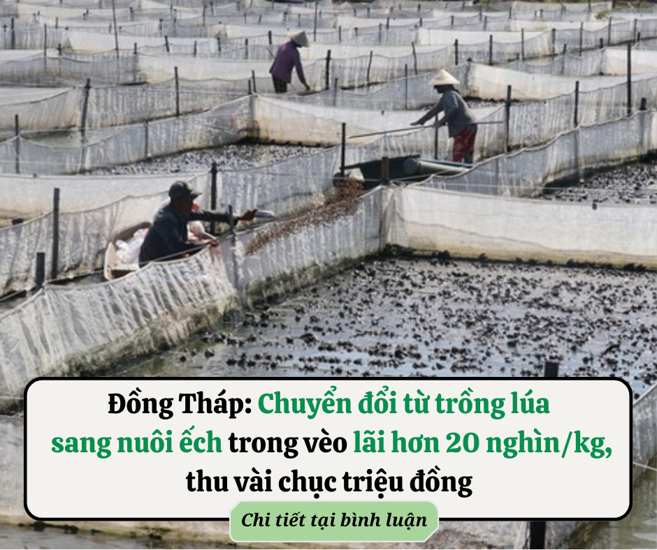 Cách hay nhìn người: Muốn biết một người có nhân hậu, phúc đức hay không nhìn vào 3 điểm này là thấy