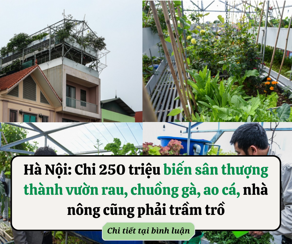 Cổ nhân dạy: ‘Chọn vợ không chọn gái ngẩng đầu, lấy chồng không lấy trai cúi mặt’: Trai cúi mặt thì sao