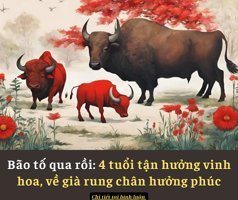 Đàn ông tuổi thọ ngắn thường “yếu” ở 5 chỗ: Sau 60 tuổi mà không có chứng tỏ thể lực còn sung mãn