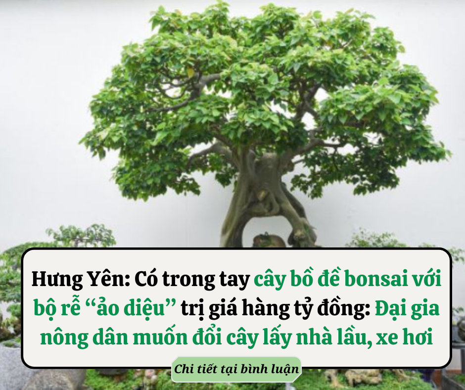 Hầu hết 4 kiểu phụ nữ này đều sẵn sàng làm “tiểu tam” cặp kè với đàn ông có vợ con