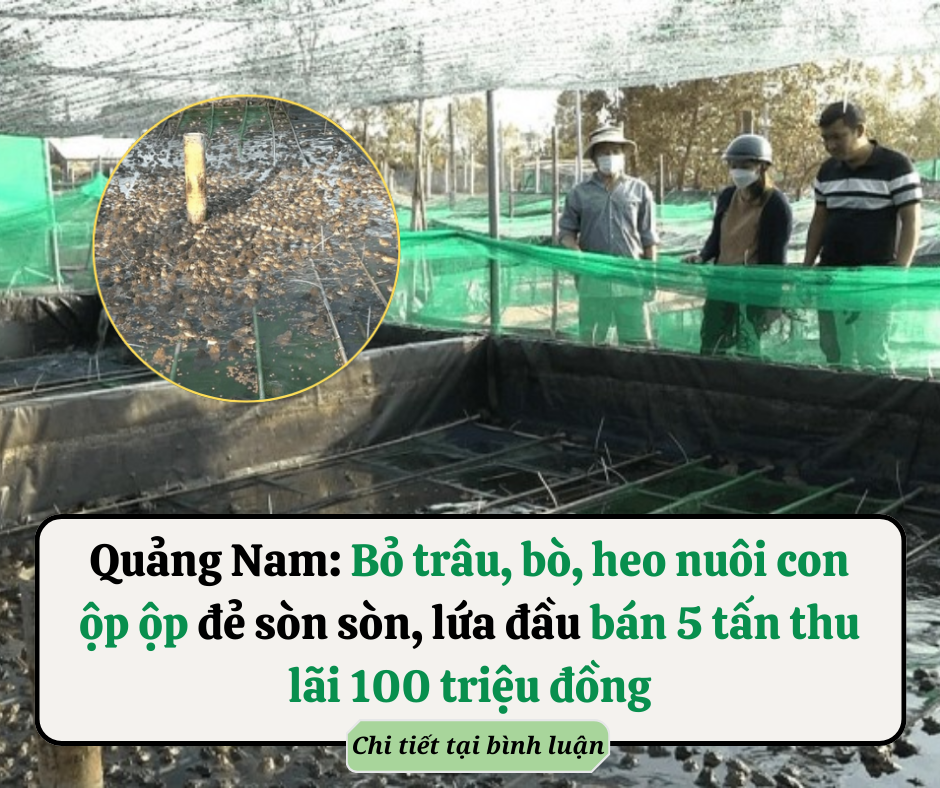 Vợ chồng thì chớ có ngủ riêng giường, 6 lý do ai cũng nên biết