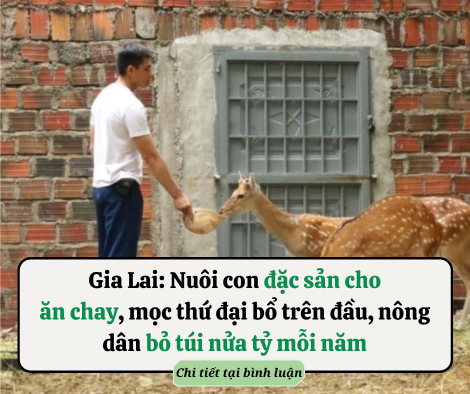 Phật dạy: Đây chính là báo ứng của người vay tiền nhưng không trả