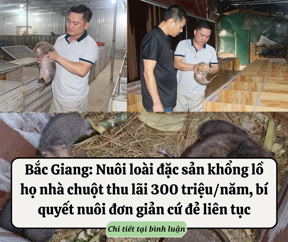 ‘Thương vụ’ nực cười nhất thời sốt đất: Bãi cỏ sâu trong ngõ cũng có giá 2,5 tỷ