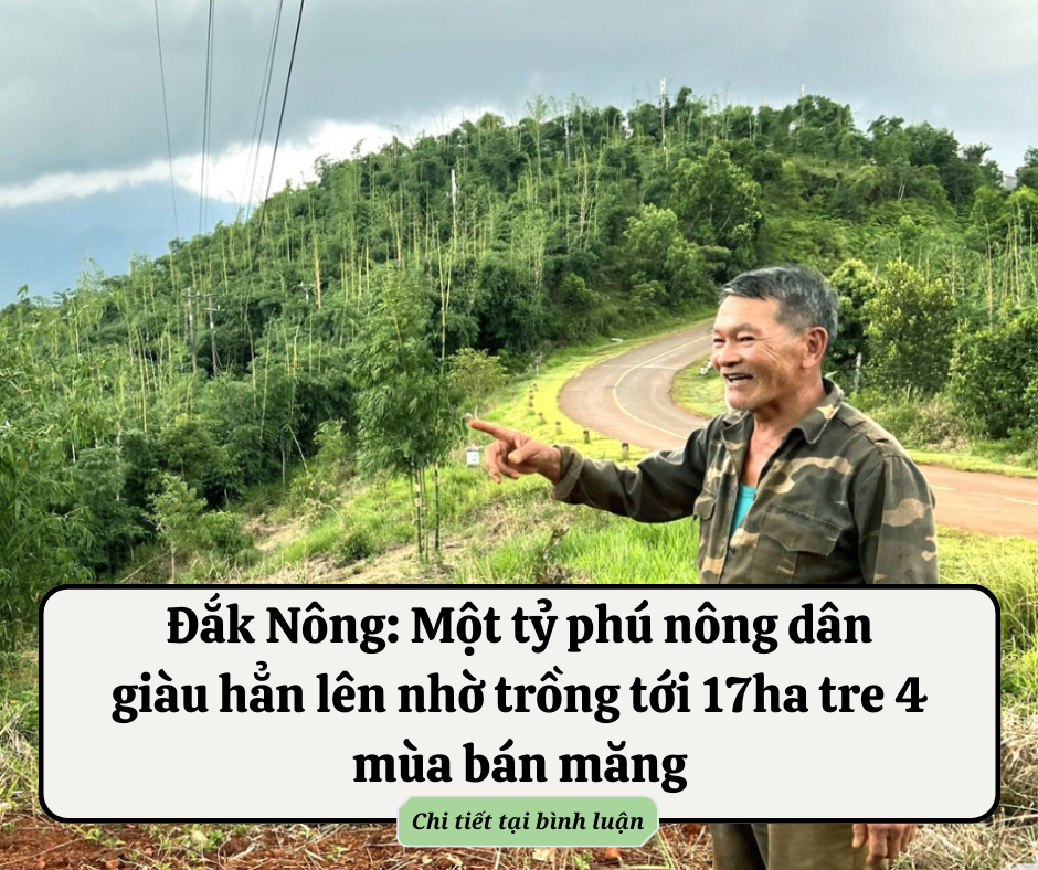 Giá chung cư tăng phi mã, vốn 700 triệu nên liều mua căn hộ Hà Nội hay đầu tư đất ở quê?