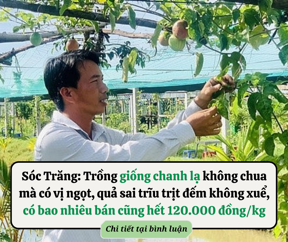 Sự thật đằng sau vụ việc người phụ nữ hoảng hồn thấy tiền tỷ “bay” vào xe chở hàng