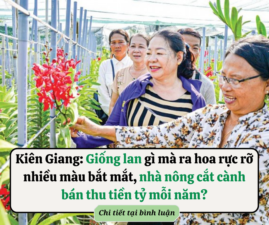 10 ngày tới (15/3-25/3): 4 tuổi tới thời hoàng kim hứng đủ lộc Trời, tiền đổ về đầy túi