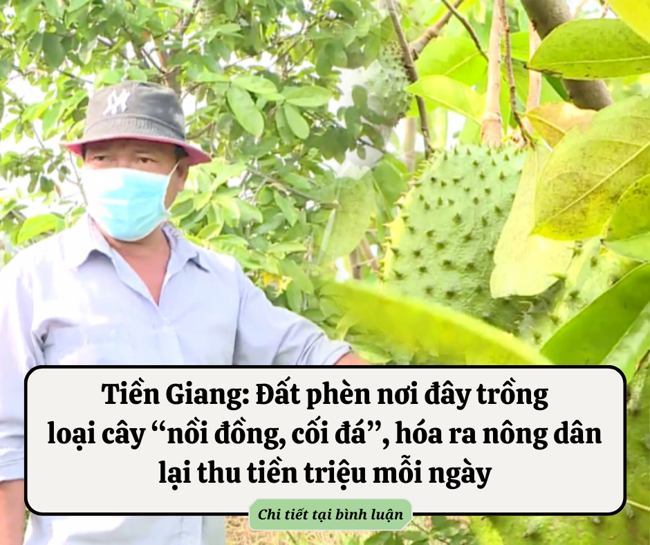 Thân nhau đến mấy cũng đừng kể cho nhau nghe 3 chuyện, càng im lặng càng khôn ngoan