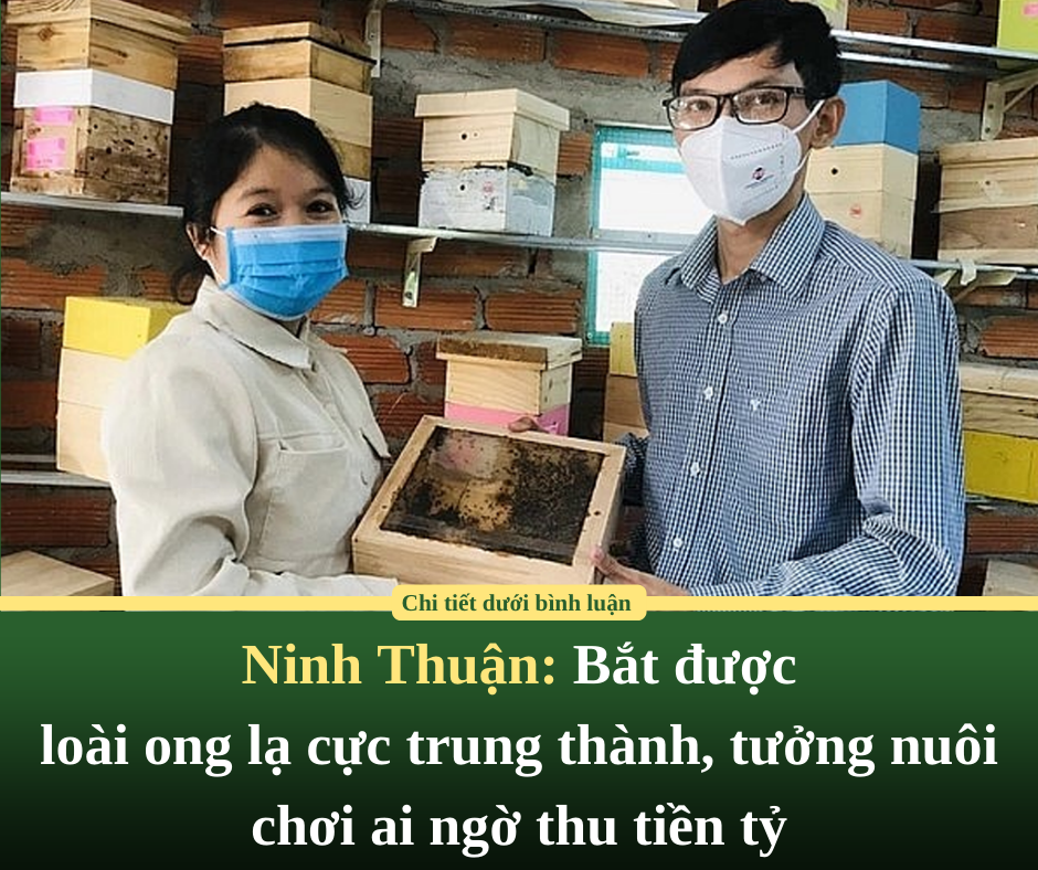 “Đàn ông ngoại tình nghĩ gì về nhân tình của họ”, lời thú nhận của người đàn ông không chung thủy