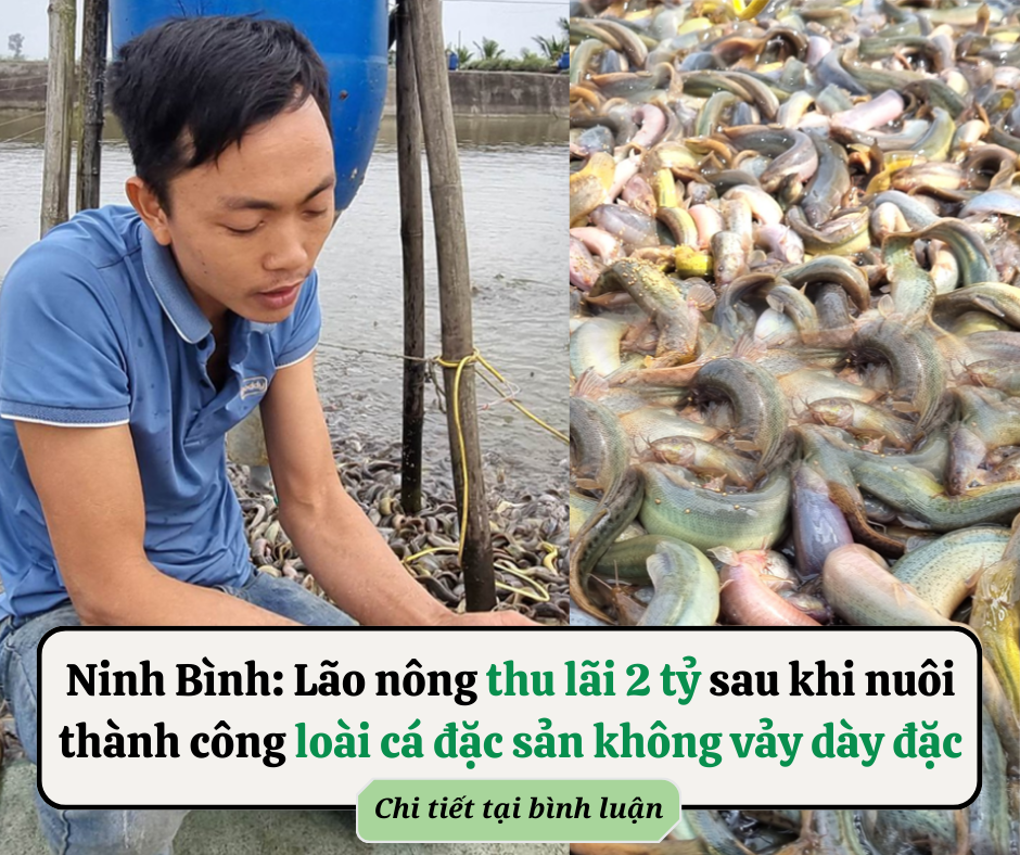 Tại sao đàn ông càng già càng lăng nhăng nhiều hơn?