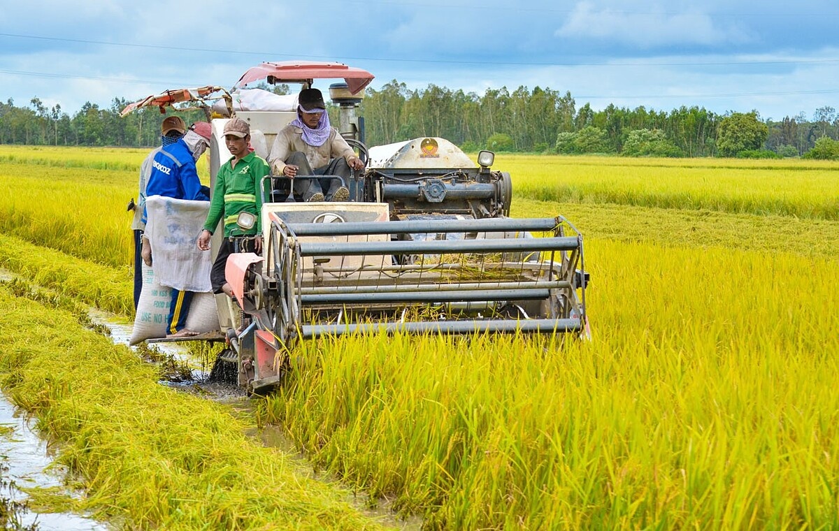 Phải có xác nhận ‘nông dân’ mới được thừa kế đất nông nghiệp?