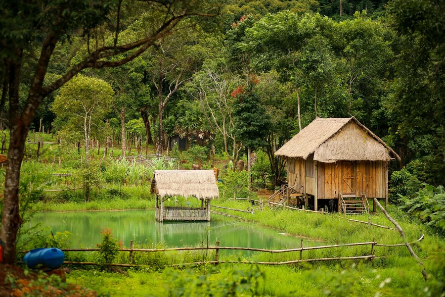 Bỏ việc Sài Gòn để không phải khổ mỗi lần về quê ăn Tết