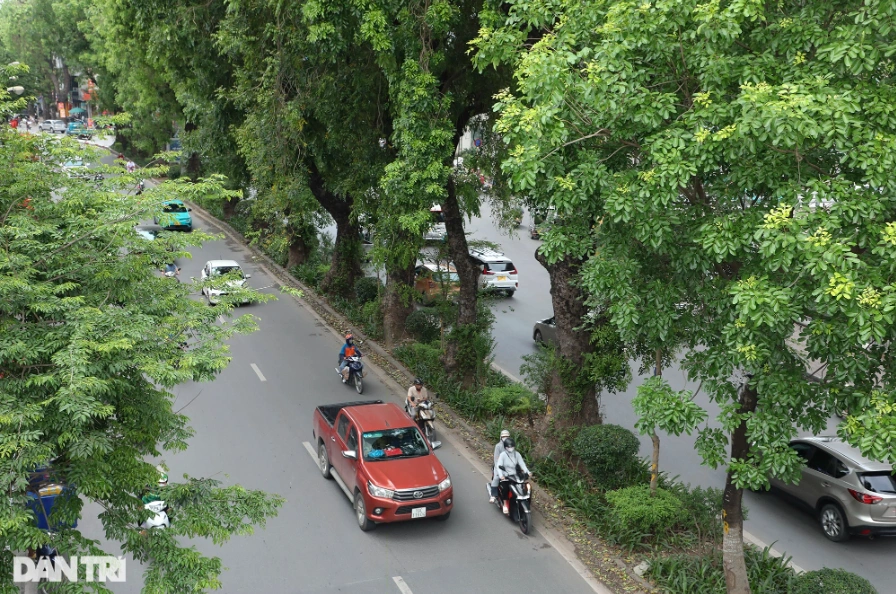 Sở GTVT Hà Nội nói về đề xuất mở rộng đường Láng 3,8 km tốn 21.000 tỷ đồng